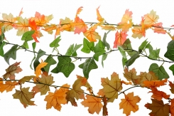 037 veštačke lozice